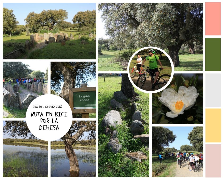 RUTA EN BICI