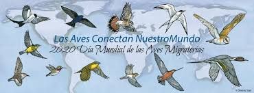 descarga