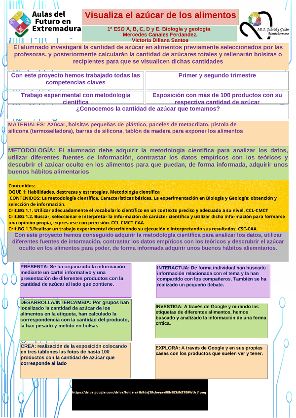 PLANTILLA